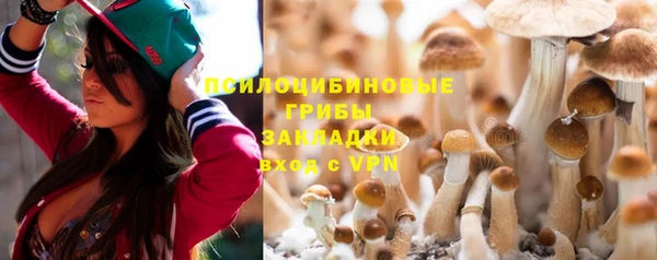 твердый Алексеевка