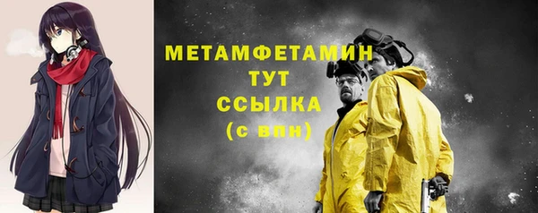 хмурый Пересвет