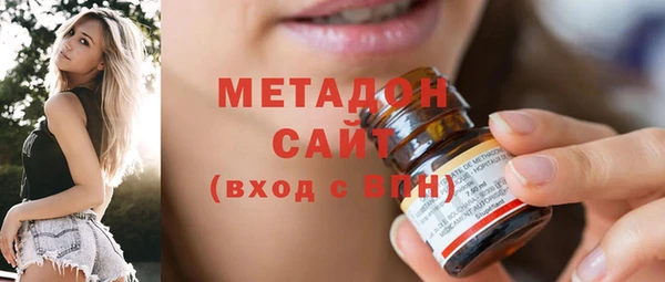 хмурый Пересвет