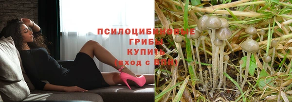 героин Алексин