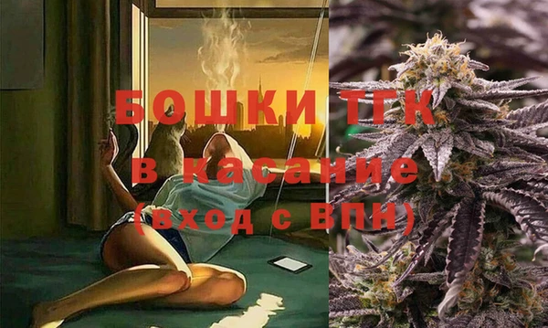 твердый Алексеевка
