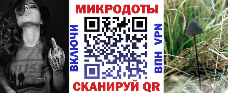 хочу наркоту МЕГА как войти Псилоцибиновые грибы Magic Shrooms Мышкин